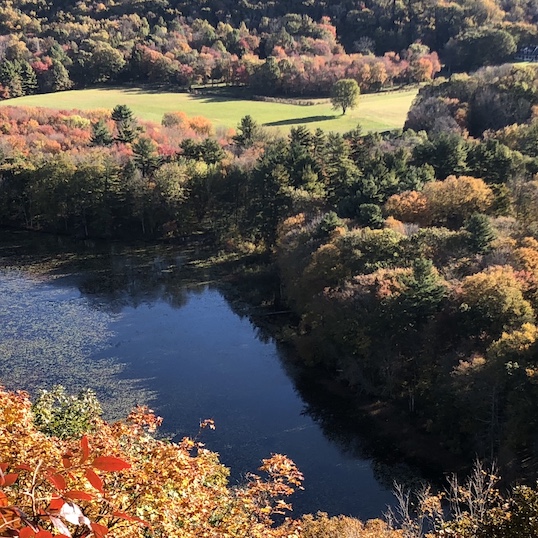 Bluff Head and Northwoods