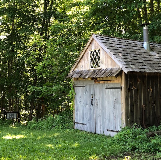 Dudley Barrows Woods