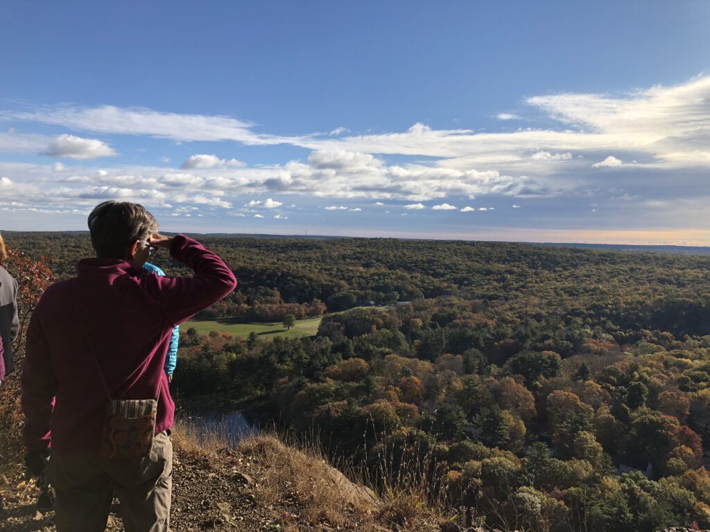 GLCT Buys Key Acreage on Bluff Head