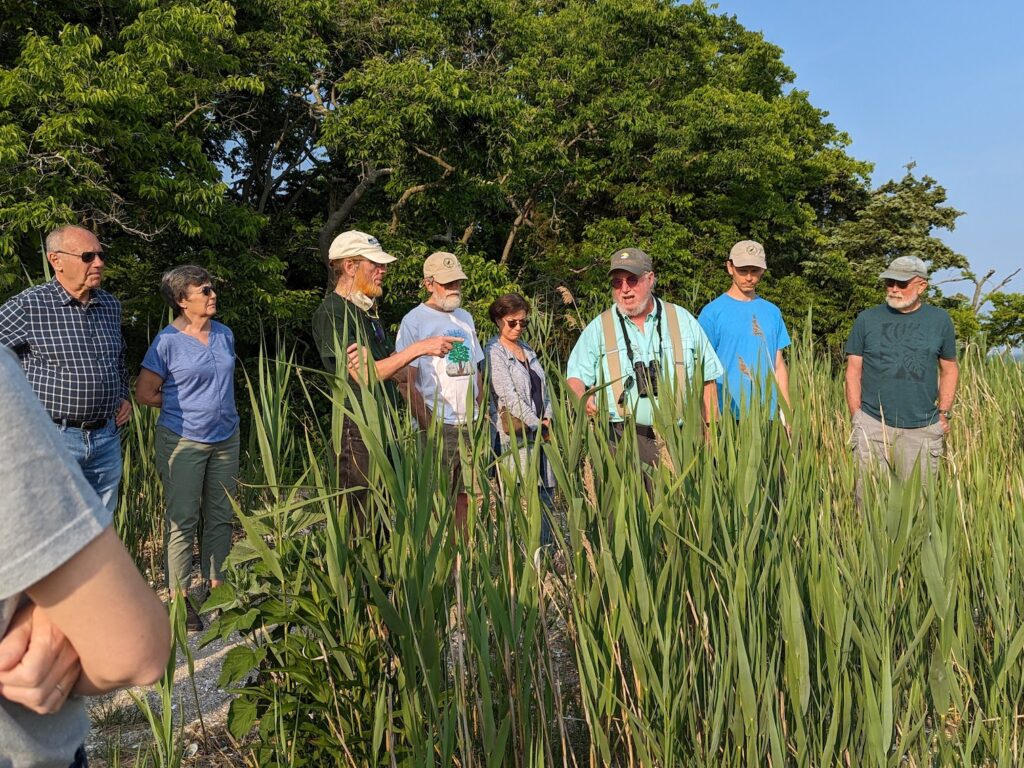 Local Impacts of Climate Change