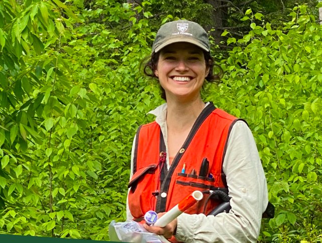 Tree Stressors in Connecticut