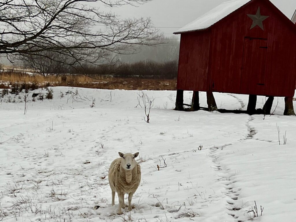 New Property Acquisition!